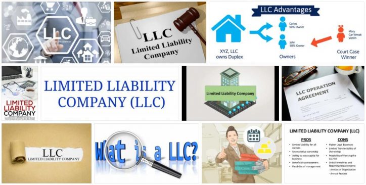limited liability company 2